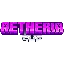 AetheriaSMP icon